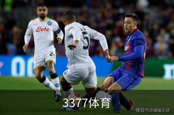 了解3377体育